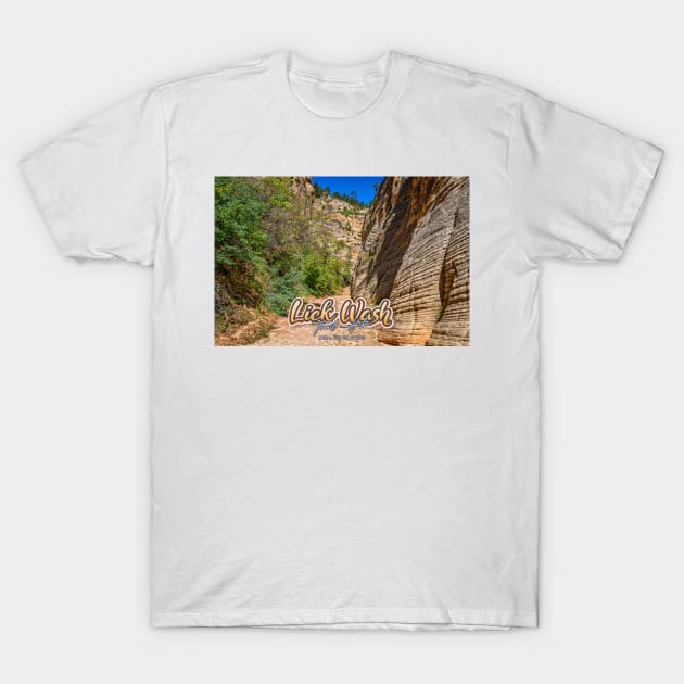 Lick Wash Trail Hike T-Shirt by Gestalt Imagery